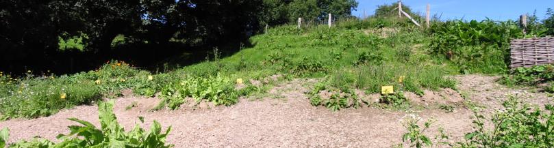 iron age farm