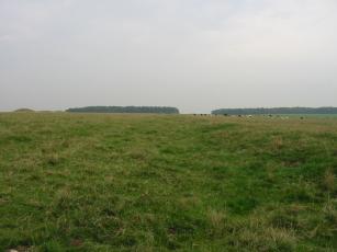 Looking along the Cursus